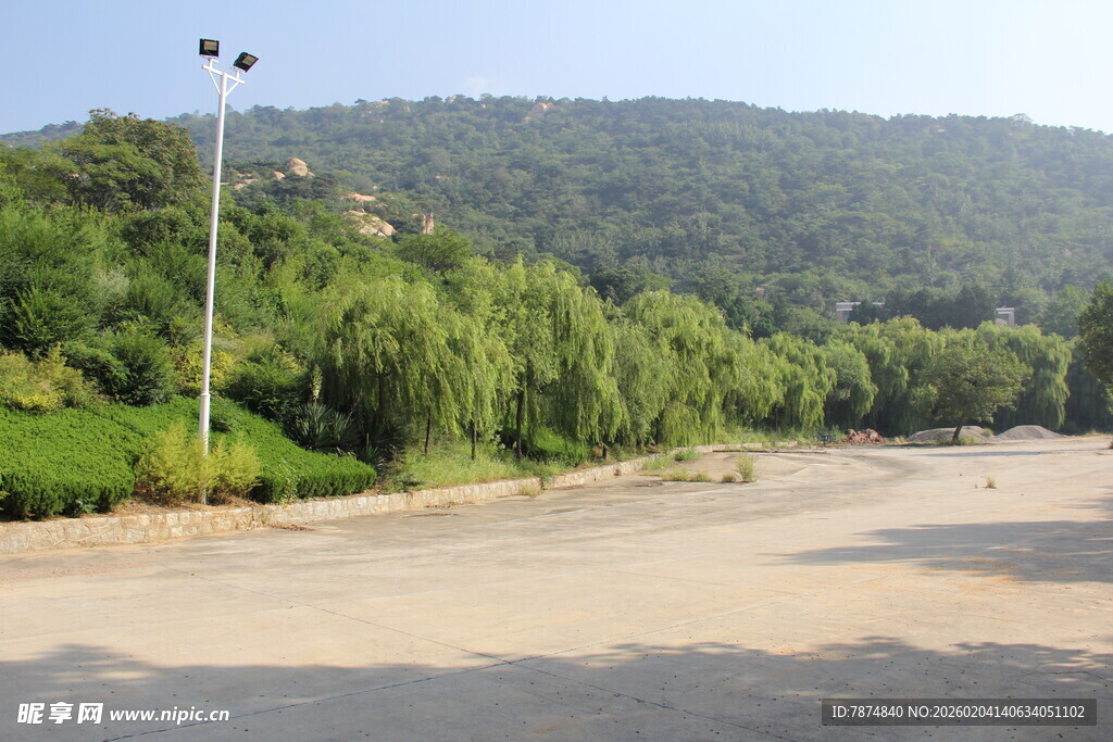 郊外开阔道路旁绿树成荫