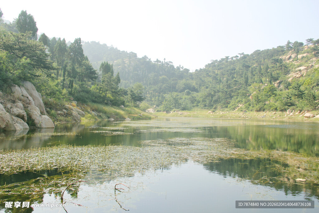 山间清湖 绿意盎然之景