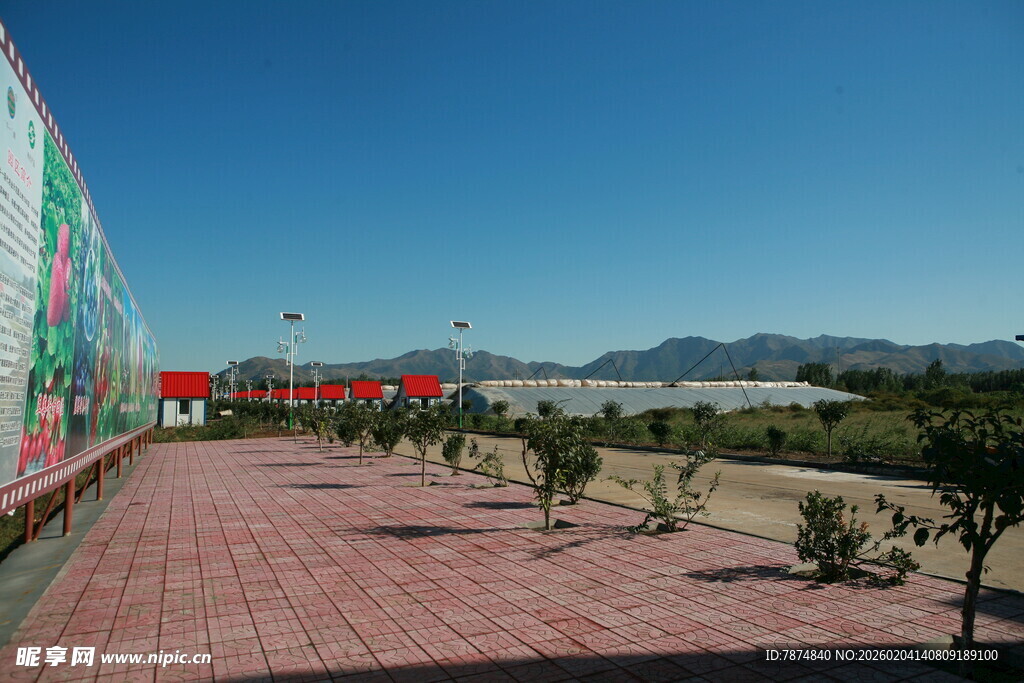 彩色墙旁的红砖步道景观