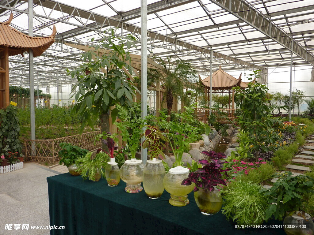 温室绿植展示