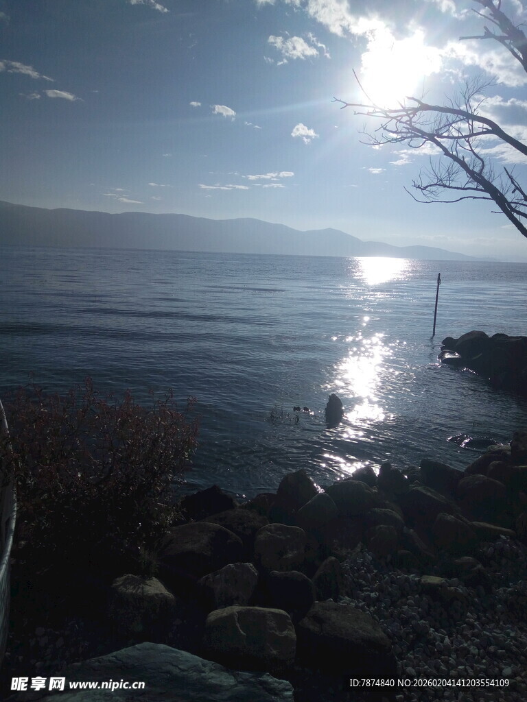 湖畔日光下的静谧景致