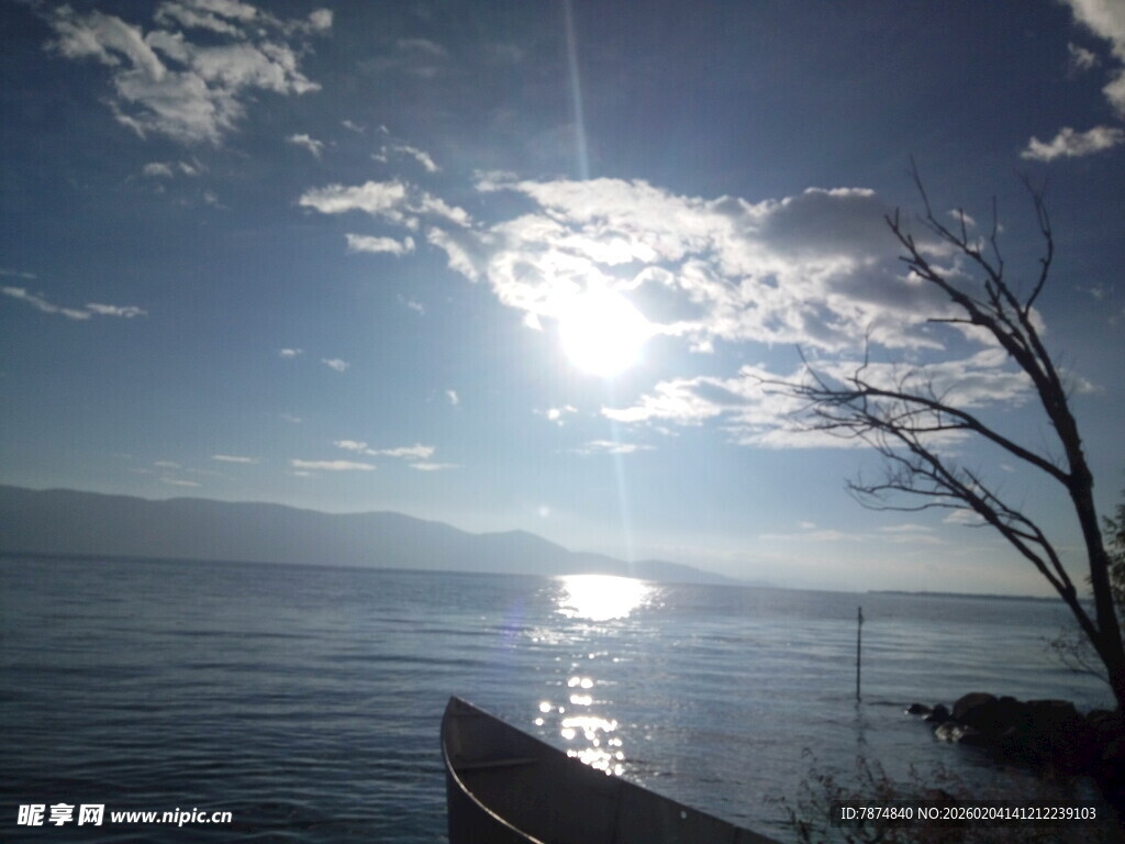 海边日落美景 孤枝映辉