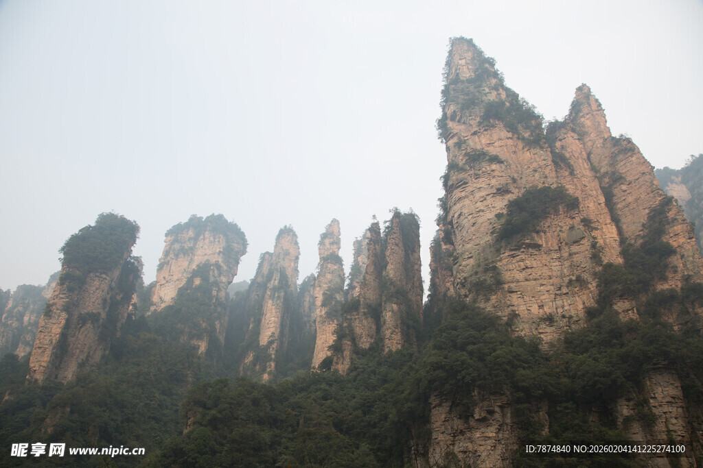 张家界奇峰美景