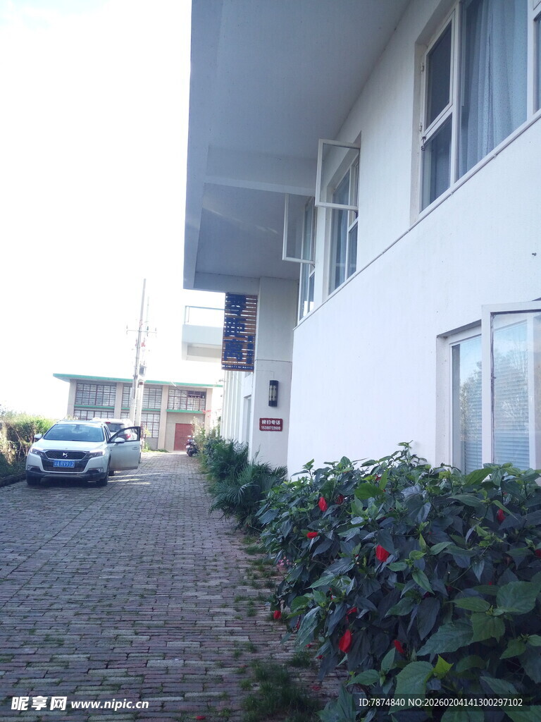 现代住宅旁绿植与车辆