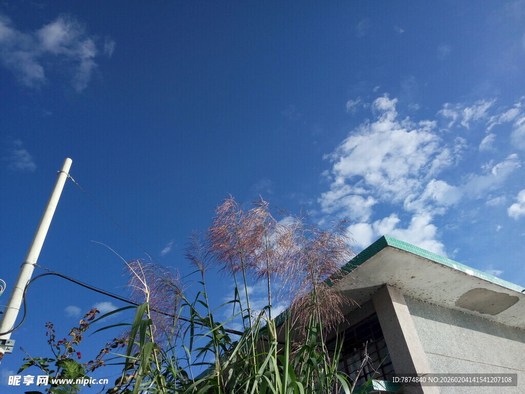 蓝天绿植旁的建筑一角