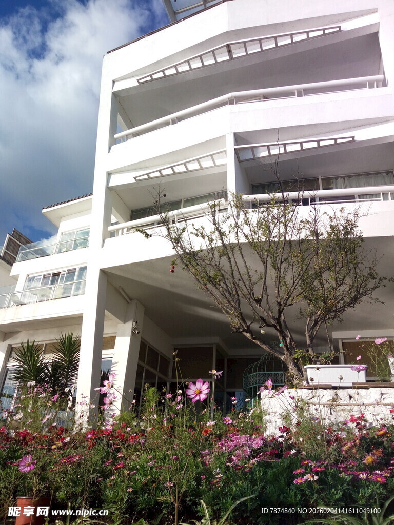 现代风格多层建筑与花卉