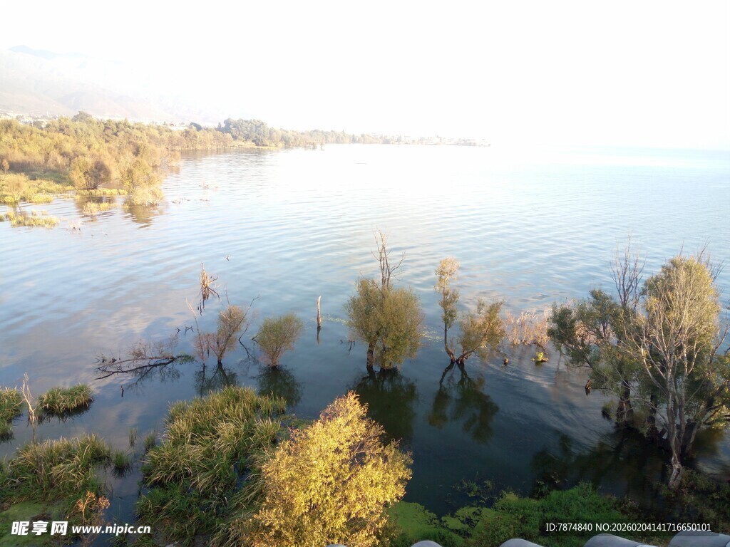 湖畔秋景 树木倒映于湖面