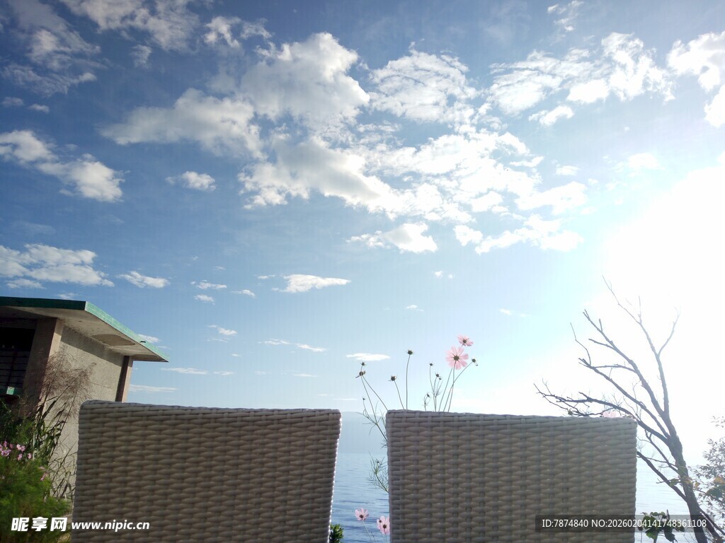 阳光下的户外休闲场景