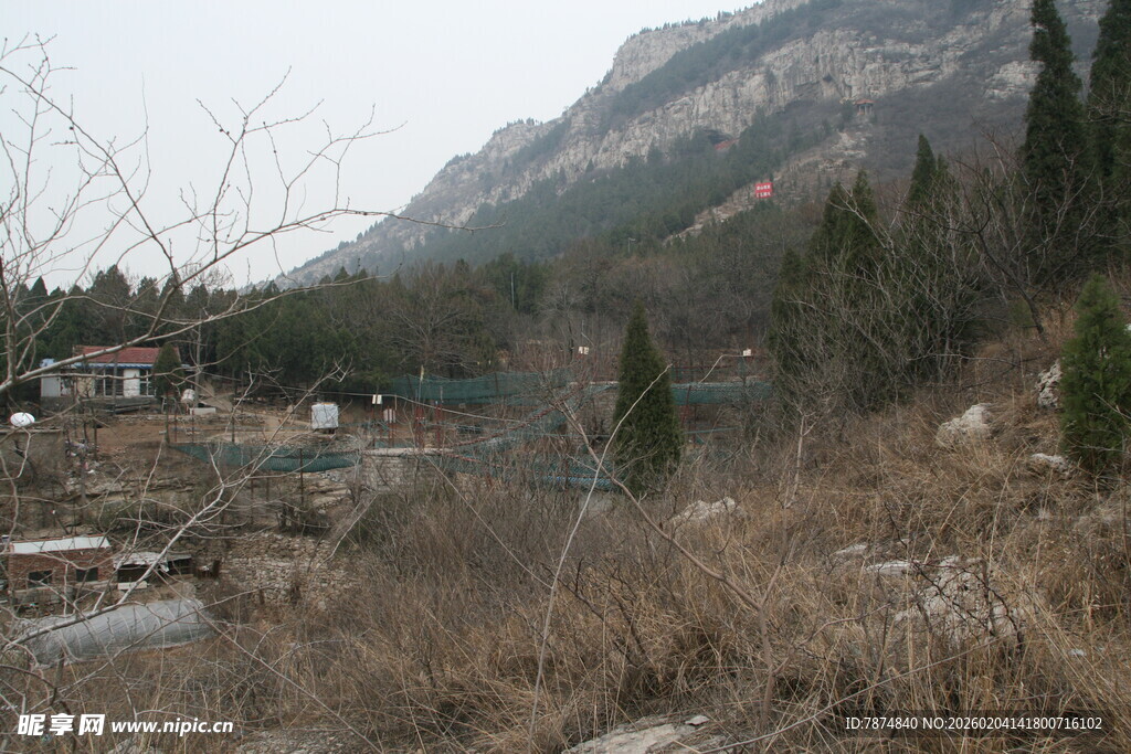 山间萧瑟景致