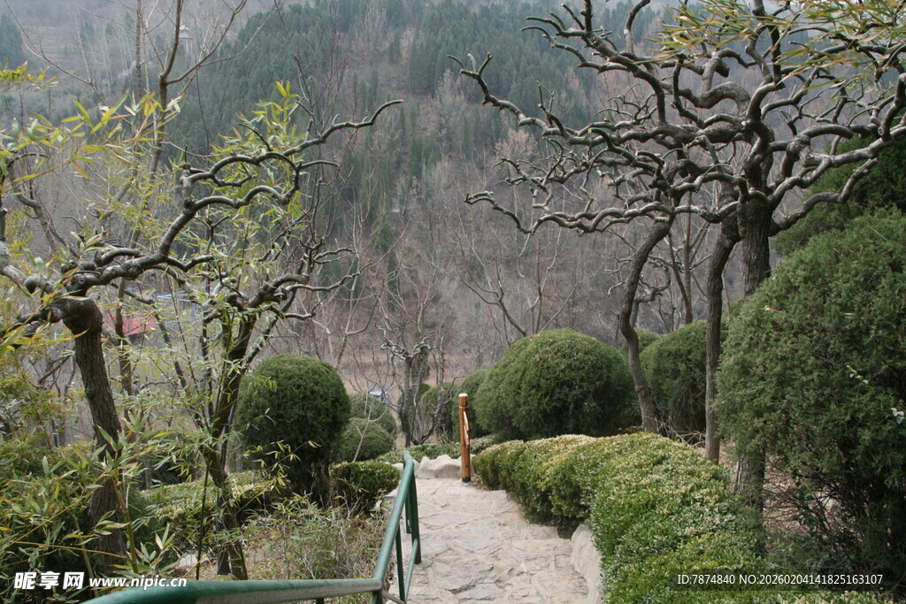山间小径旁的绿植景观