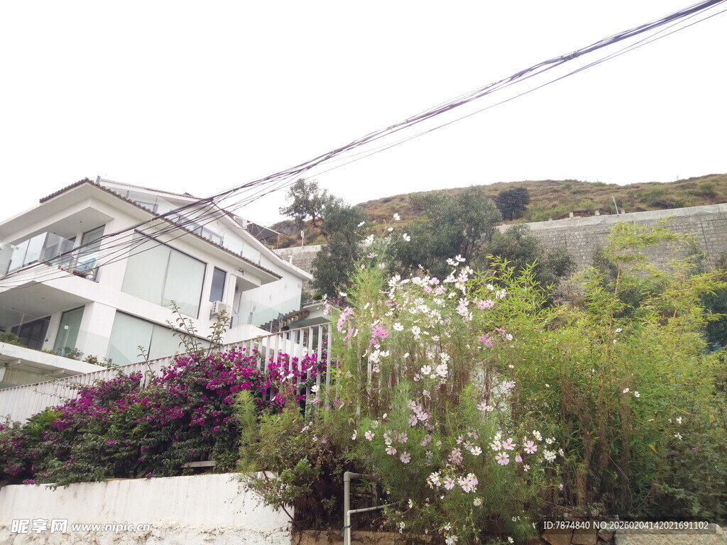 山间繁花环绕的精致住宅