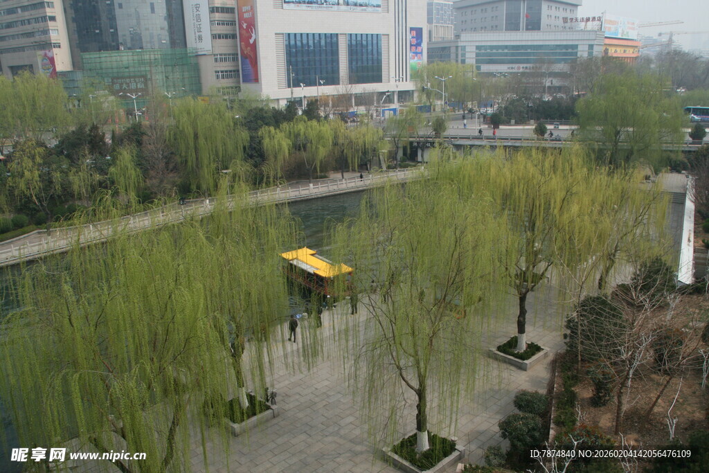 城市河畔春景
