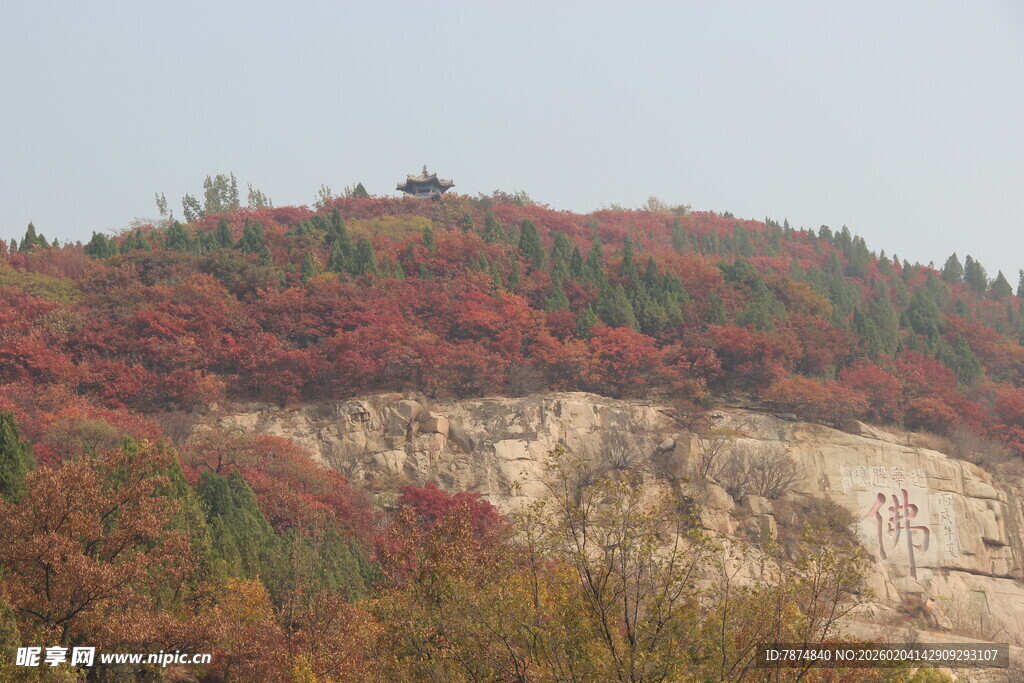 秋日山坡斑斓景致