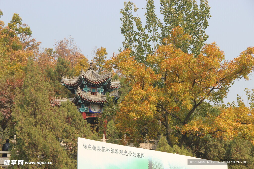 秋日树间古建筑