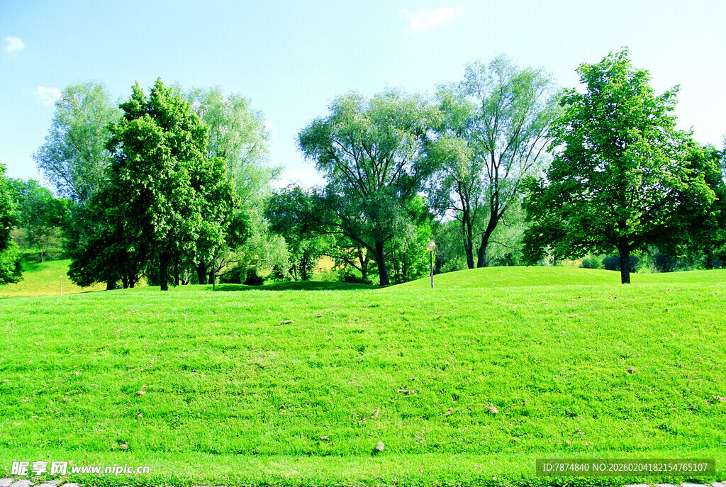 德国翠绿草地与葱郁树木景观