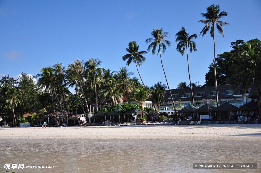 热带美丽沙滩与棕榈树