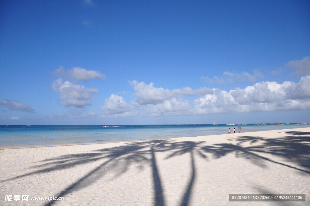 阳光沙滩下的树影斑驳