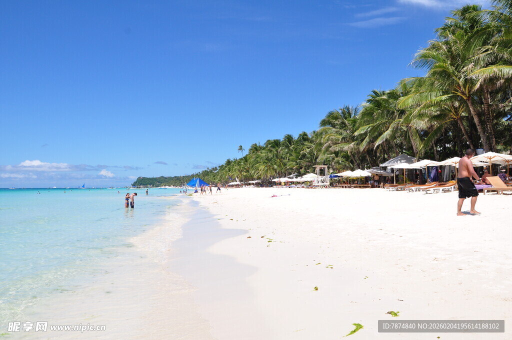 美丽的热带海滩风光