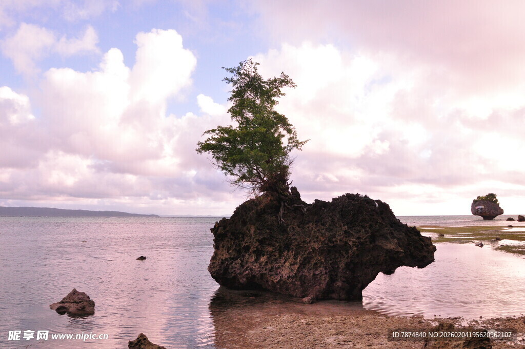 孤岩上的绿意 海滨奇景