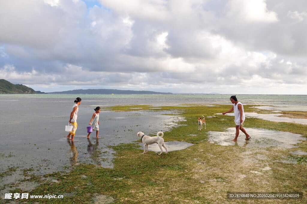 海边漫步的家庭与宠物