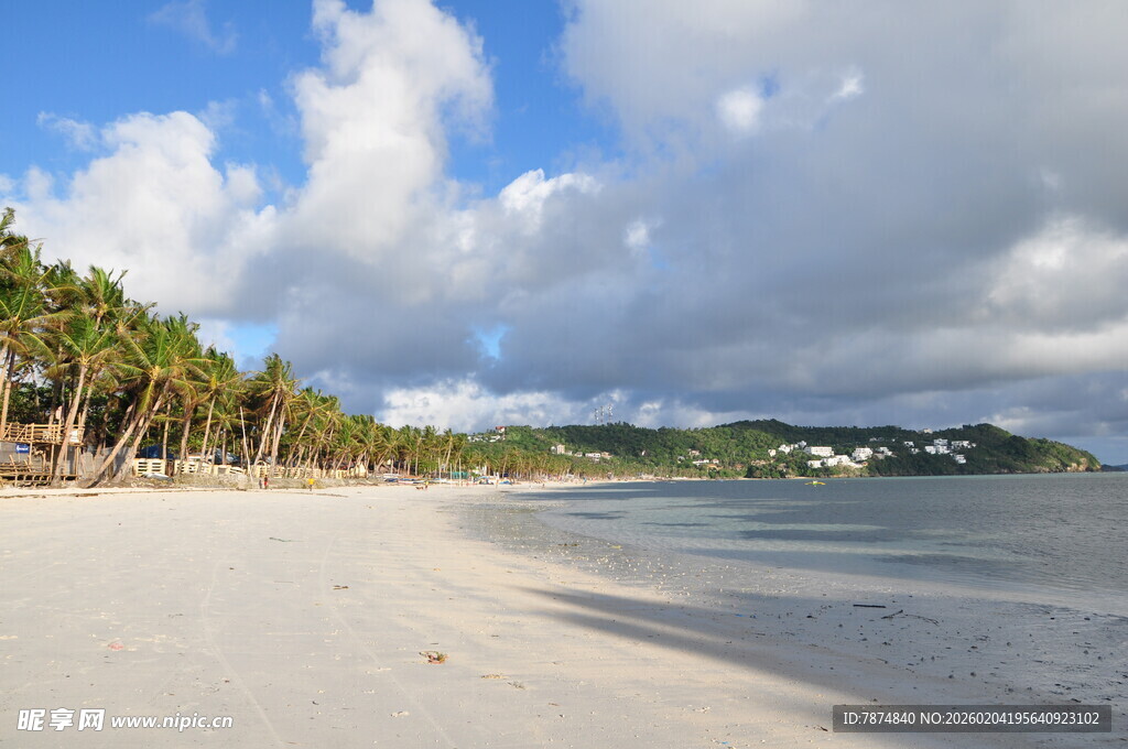 美丽海滩风光 椰树伴蓝天