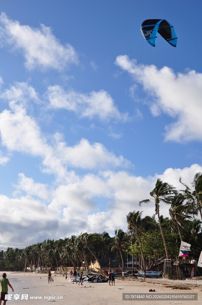 海滩上的风筝飞翔景象