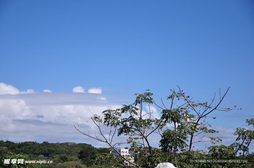 蓝天绿树间的清新景致