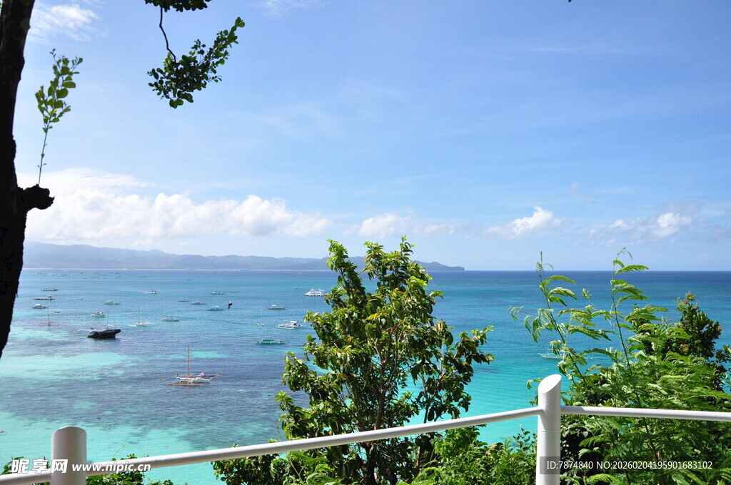 海边美景 绿植环绕的海景