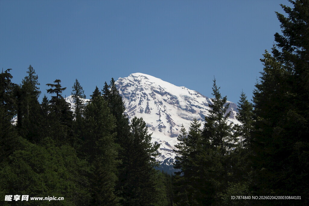 雪山屹立于葱郁森林间