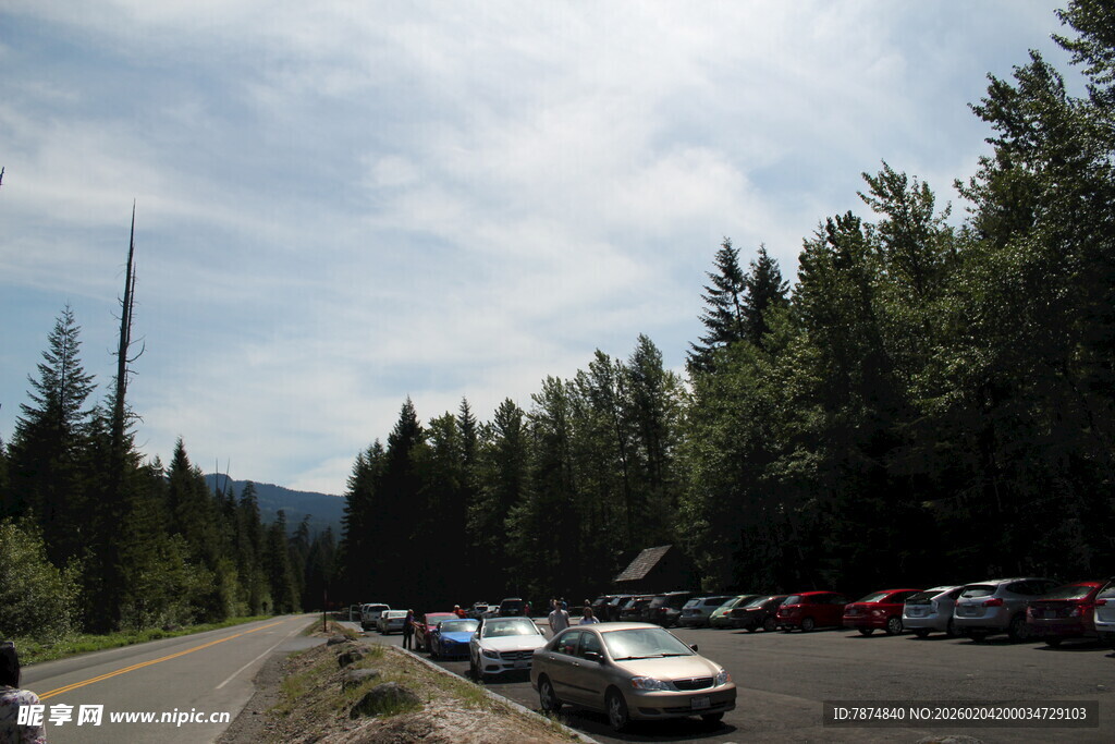 林间停车场的车辆景象