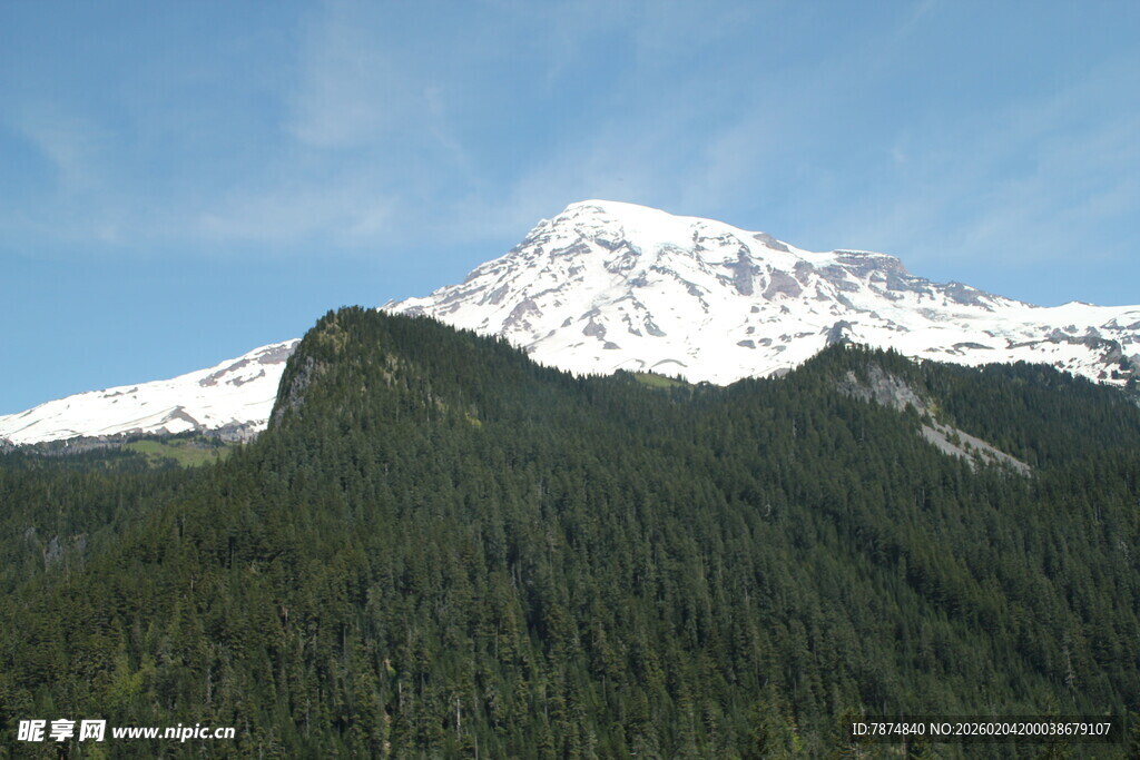 雪山下的茂密森林景观