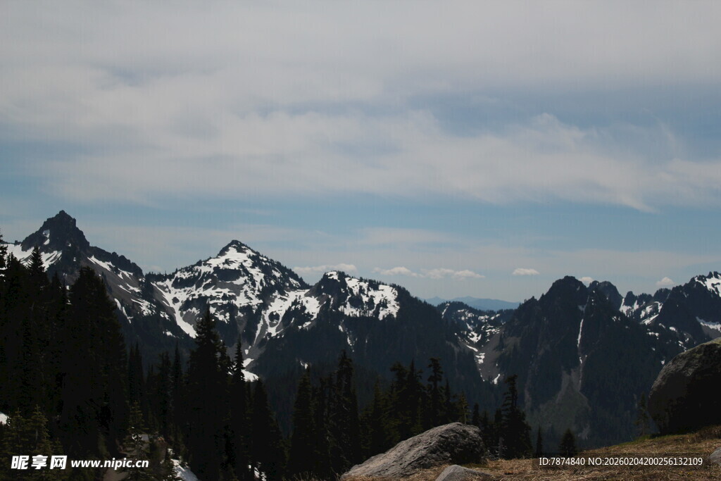 壮丽雪山与葱郁森林景观