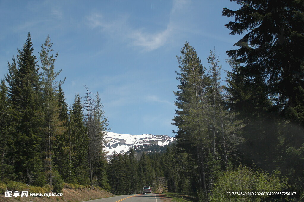 林间公路 远处雪山美景