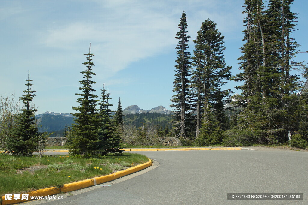 山间蜿蜒公路旁挺拔树木