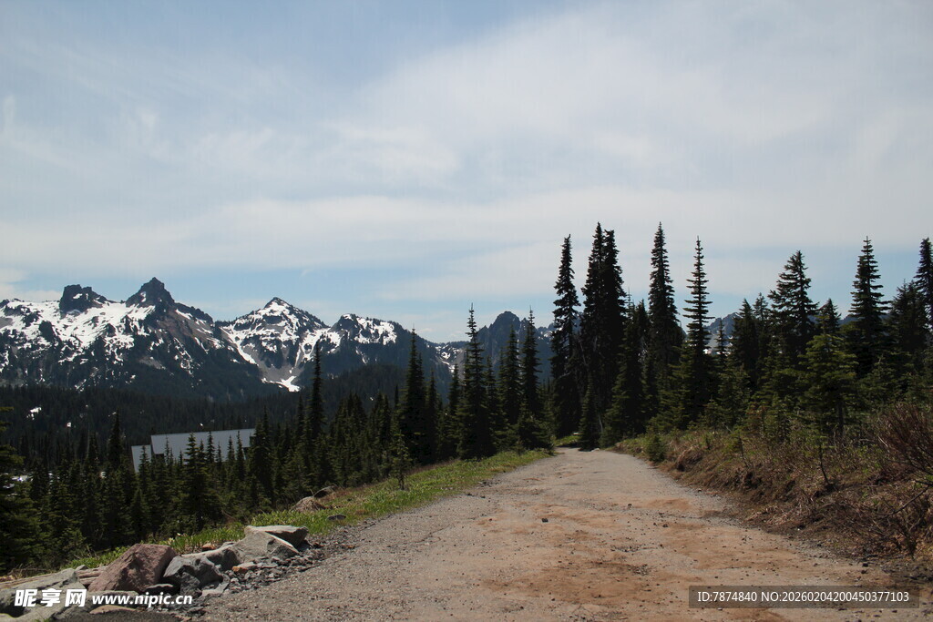 山间小路旁的雪山森林景观