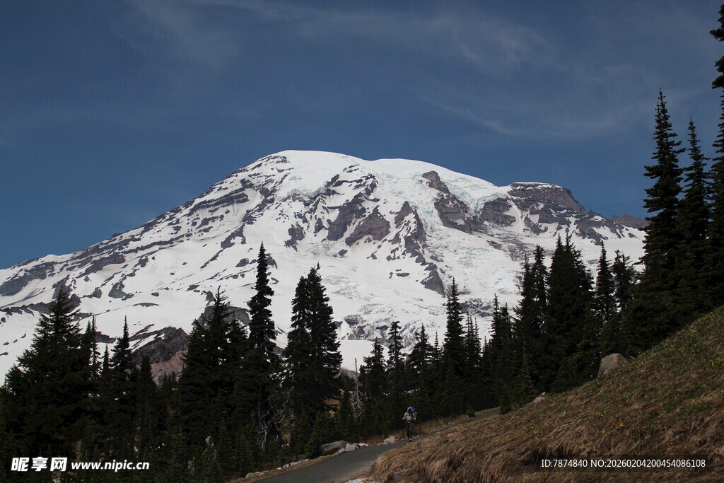 雪山下的森林美景
