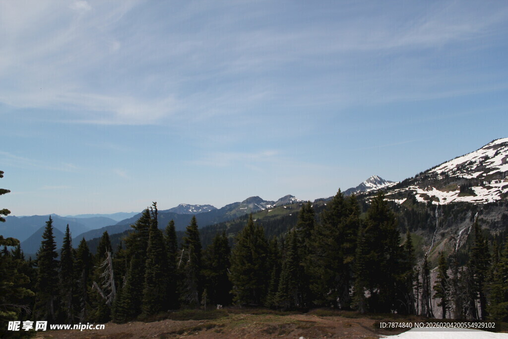 雪山下的森林美景
