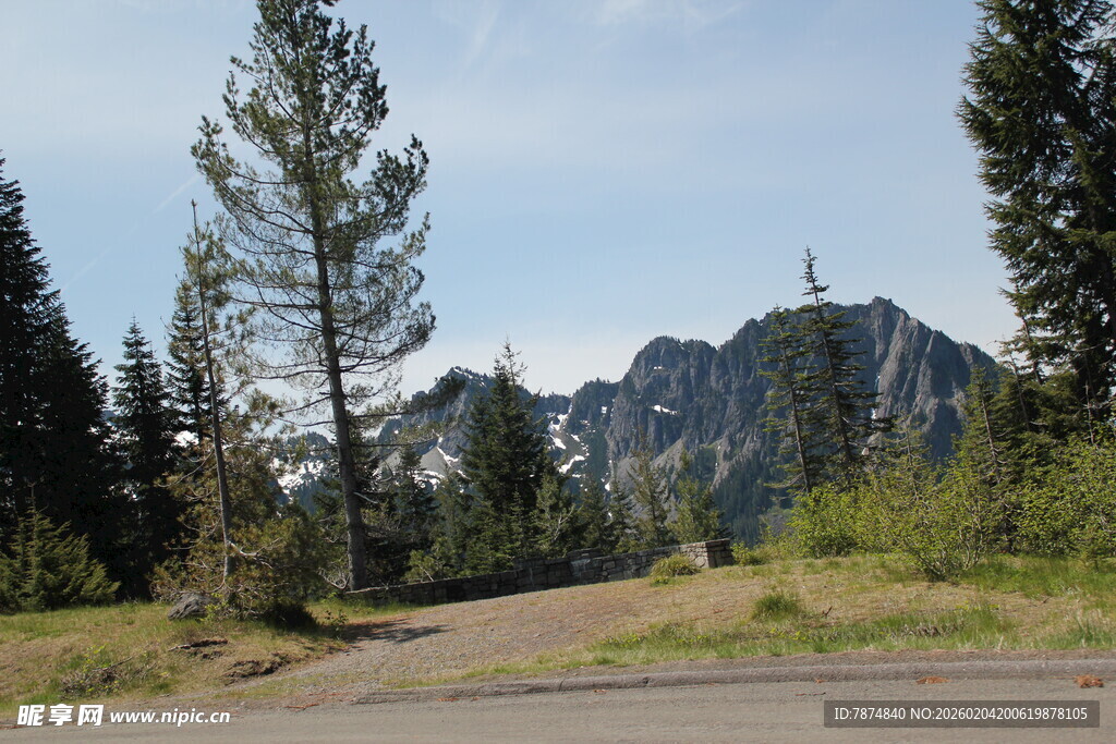 山间公路旁的葱郁树林与远山