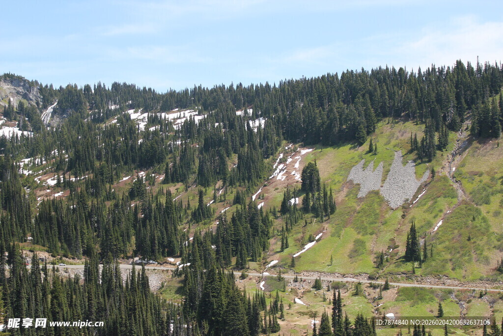 山间葱郁林木与蜿蜒道路
