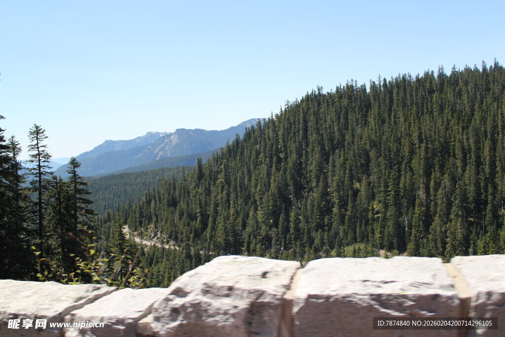 山间石畔森林美景