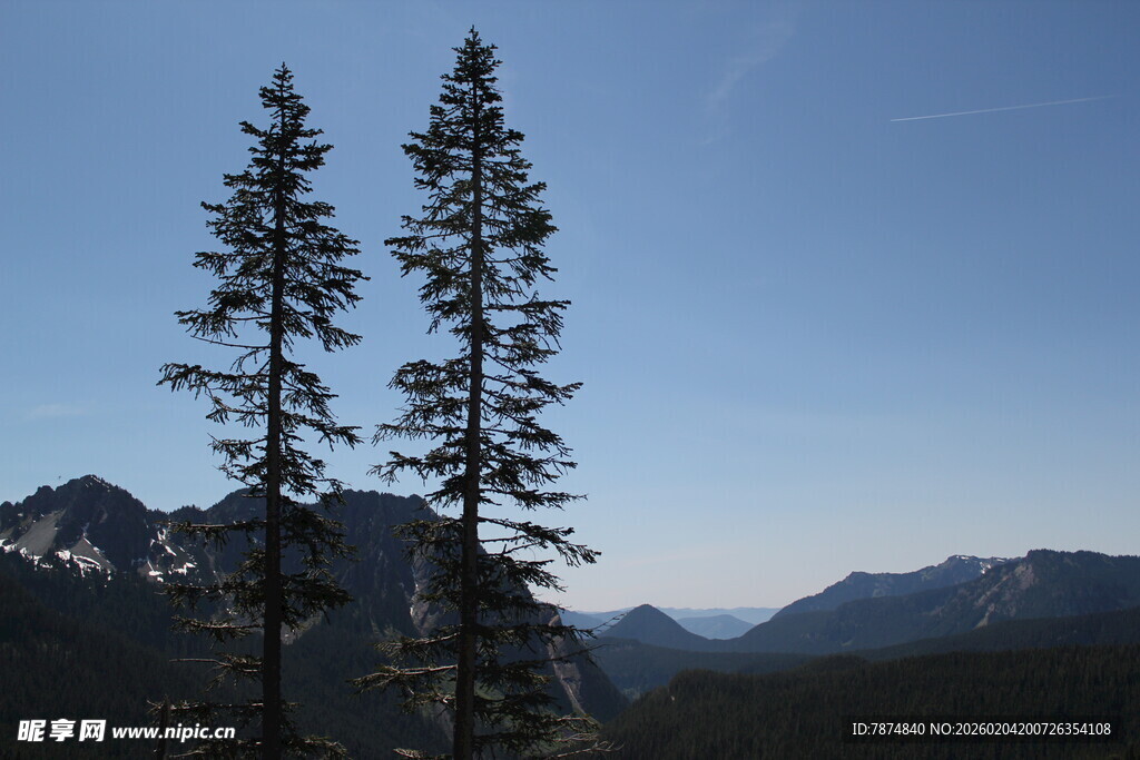 山间双松映蓝天