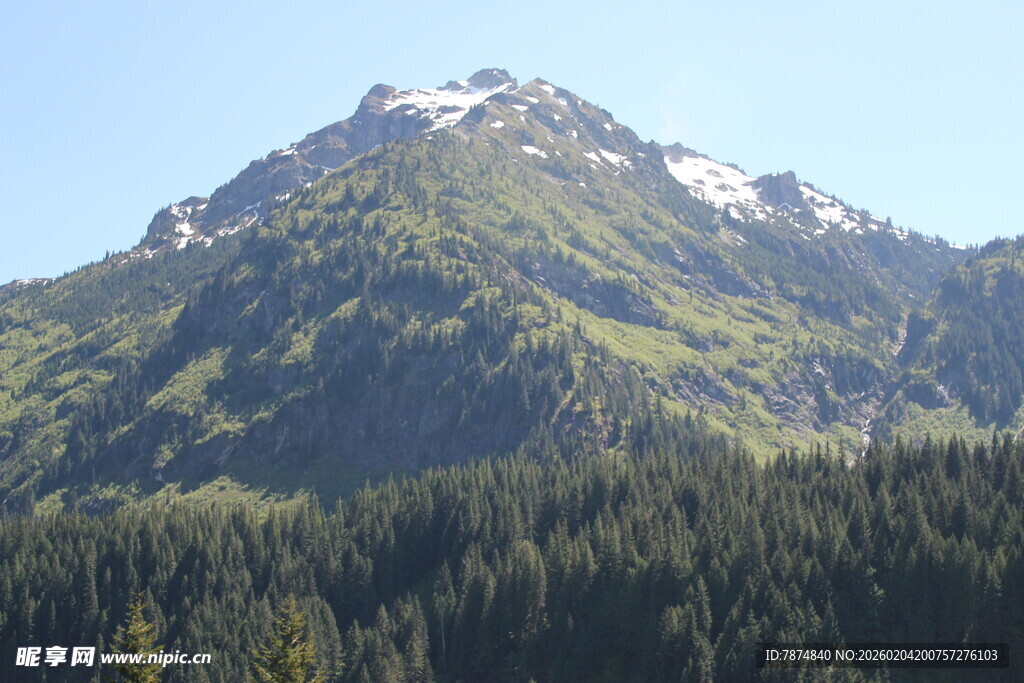 青山覆雪伴葱郁森林