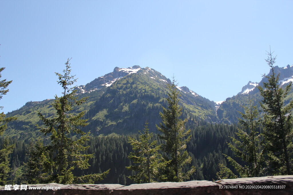 山间松林与远处雪山美景
