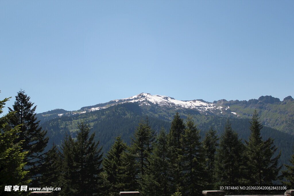 雪山下的森林美景