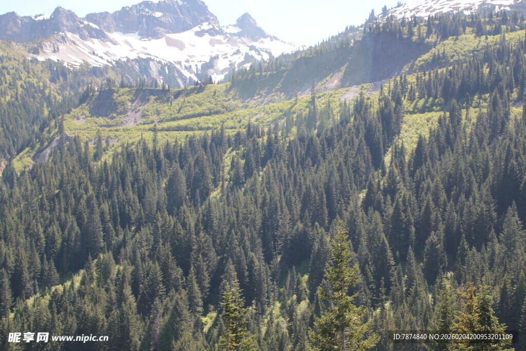 山林美景 绿意盎然的山脉