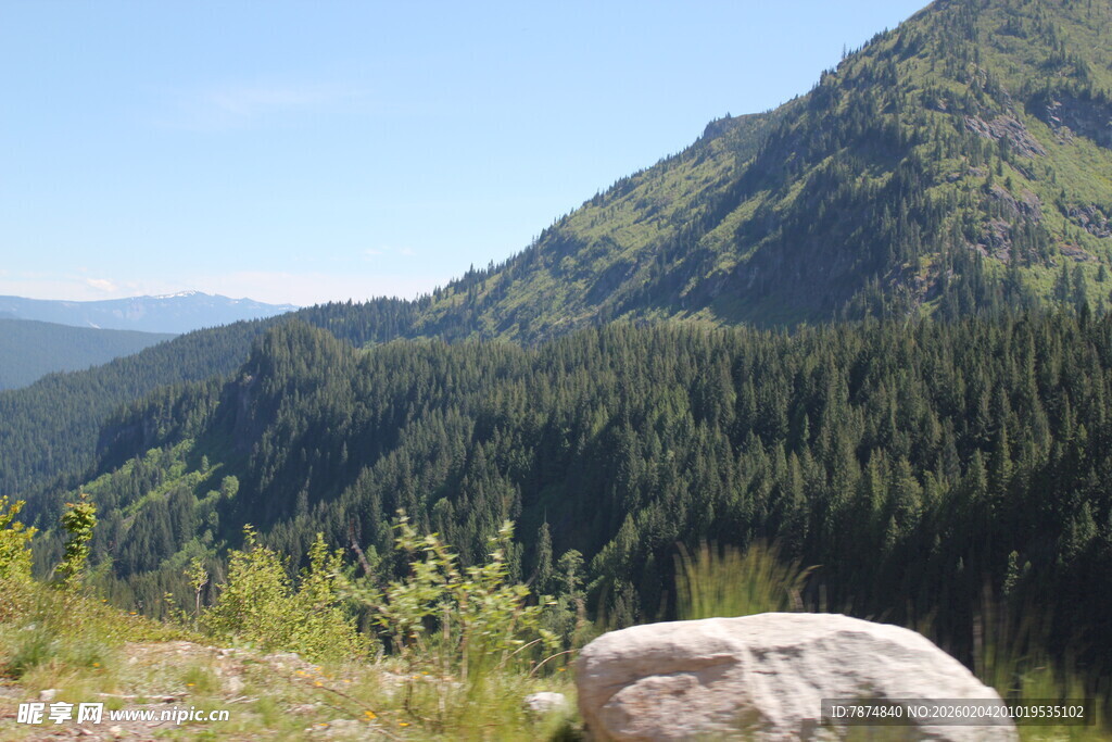 山间巨石旁的葱郁山林