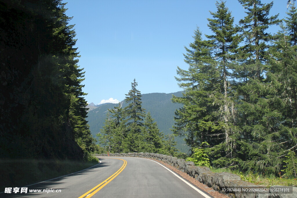 蜿蜒公路穿行于葱郁山林
