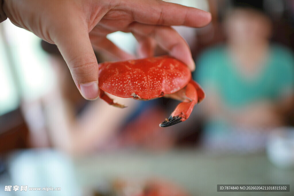 手捧鲜活小螃蟹