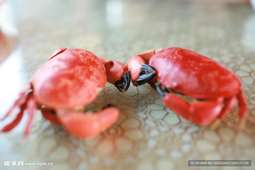 两只红色仿真龙虾摆件