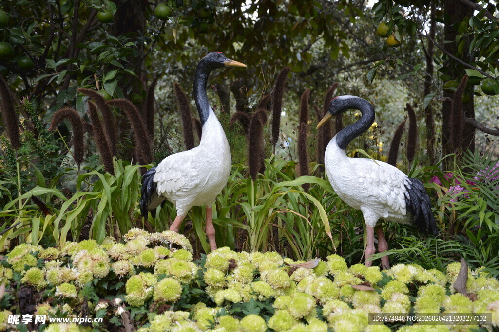 湿地双鸟立于绿植间